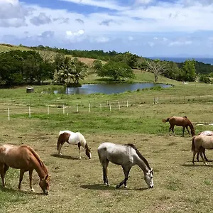 La Ferme Des Etangs Ferienhaus Riviere-Salee